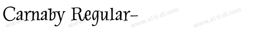Carnaby Regular字体转换